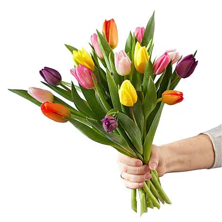 FTD Picnic Tulips