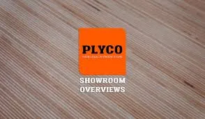 eBay Coupon
