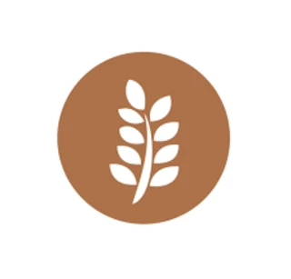 The Source Bulk Foods
