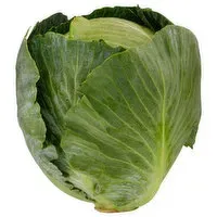 Fresh Cabbage