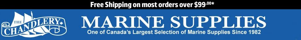 eBay Coupon