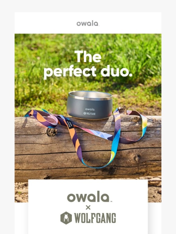 Owala - Wolfgang x Owala collab