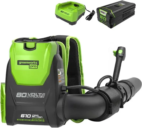 Greenworks Tools 80V Cordless Backpack Blower