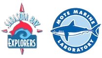 Sarasota Bay Explorers
