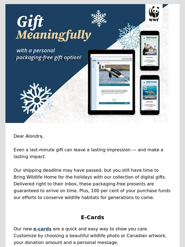 WWF - Last-minute gifts that will leave a lasting impression
