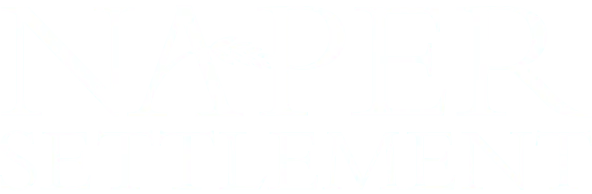 Naper Settlement