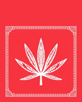 California Street Cannabis