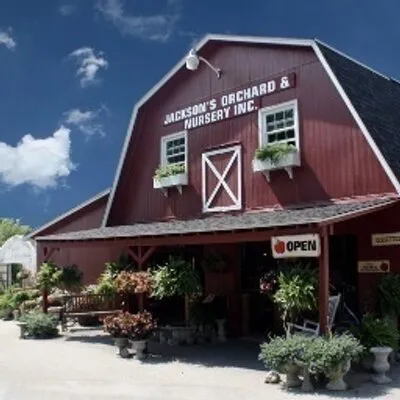 Jacksons Orchard