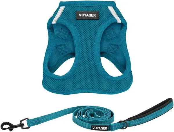 Voyager Step-in Air Cat Harness - All Weather Mesh Step in Vest Harness for Small and Medium Cats by Best Pet Supplies - Set (Turquoise), XXS $13.53