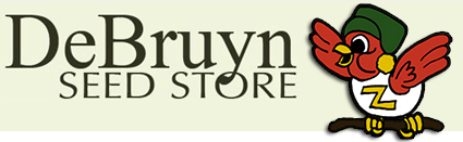 eBay Coupon