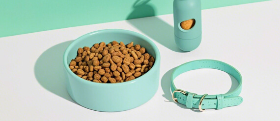 Pet Supplies