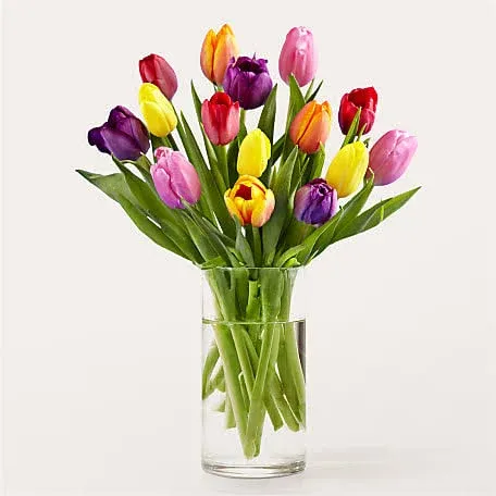 Proflowers Picnic Tulips