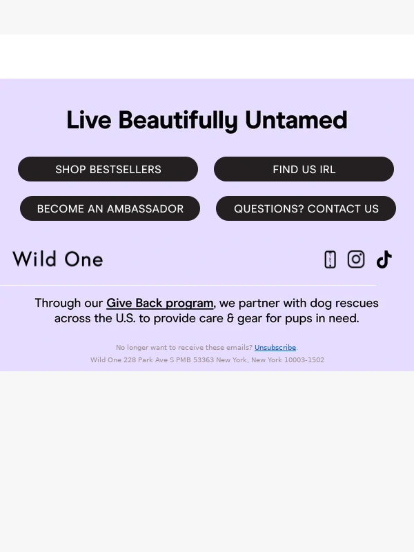 Wild One - Sale Ends Tonight ⏱️