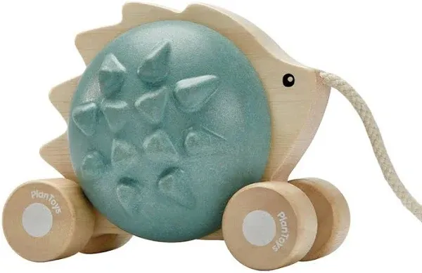 Plan Toys Pull Along Hedgehog