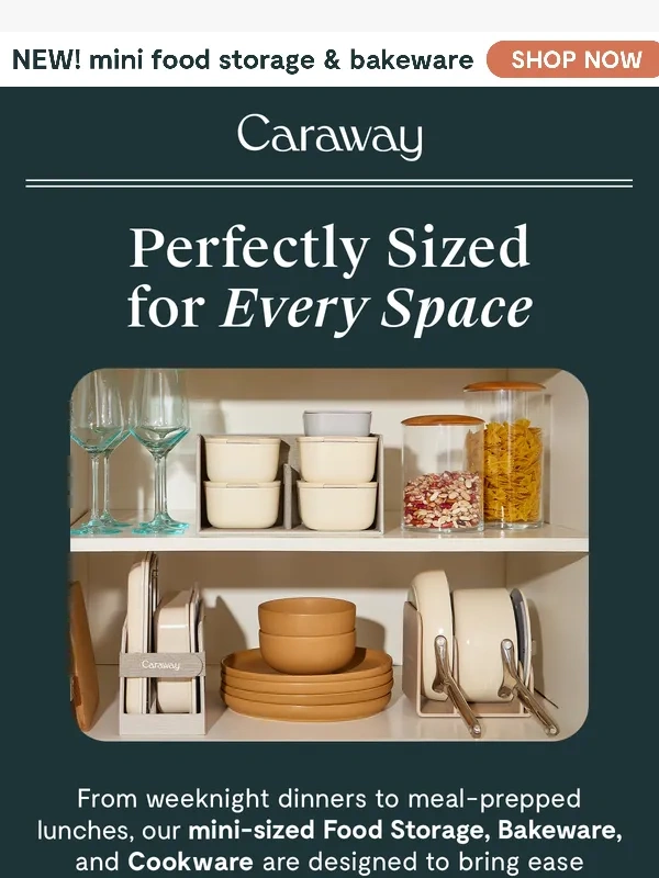 Caraway - Mini Size,Maximized Space