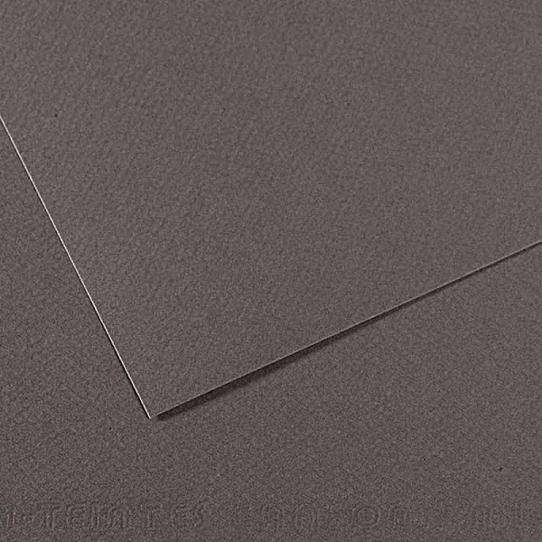 Canson Mi-Teinte Touch Sanded Board