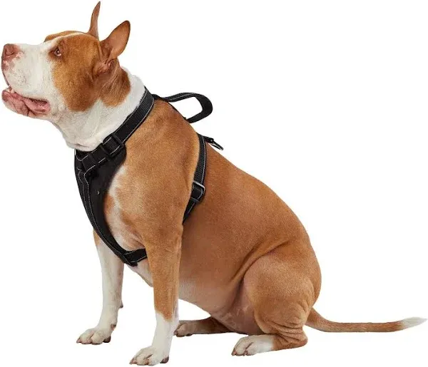 Kong Max Neoprene Padded Dog Harness