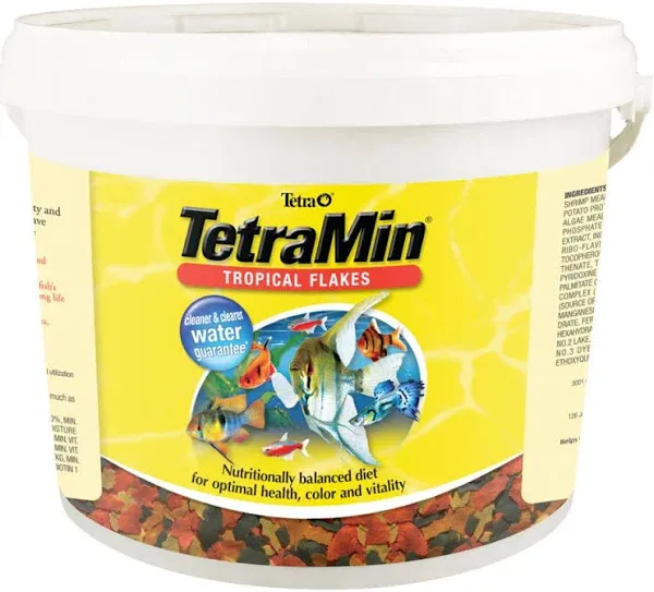 TetraMin Tropical Flakes Fish Food
