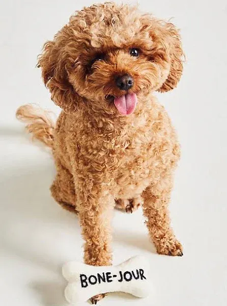 Anthropologie Bone-jour Dog Toy