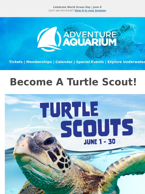 Adventure Aquarium - Do you want to help protect turtles? ?
