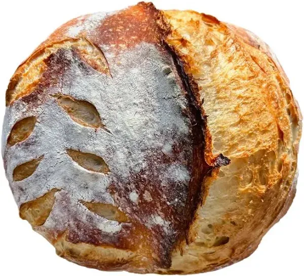 Organic Sourdough Bread Bagels