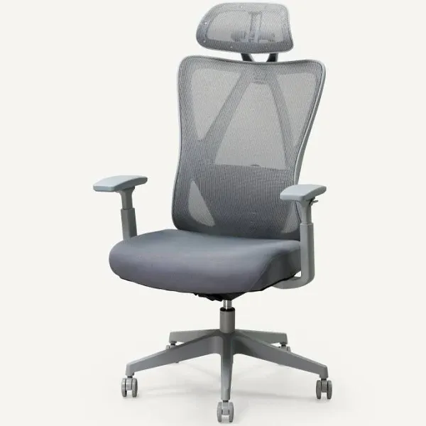 FLEXISPOT C5 Ergonomic Office Chair