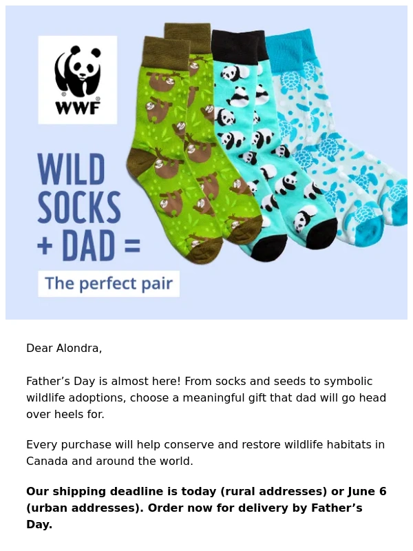 WWF - Wild socks + dad = the perfect pair