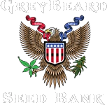 Greybeard Seeds
