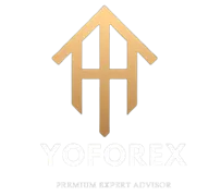 YoForex