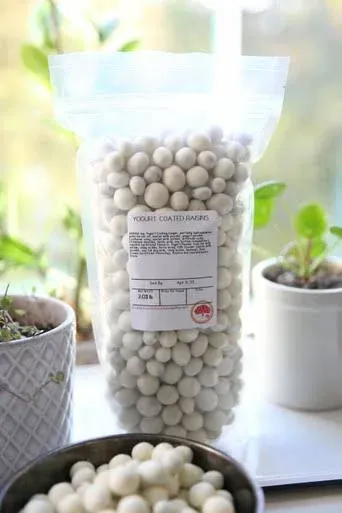 Kauffman Orchards Yogurt Covered Raisins