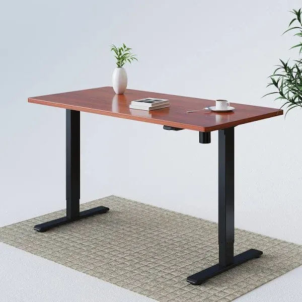 FLEXISPOT E1 Electric Height Adjustable Standing Desk