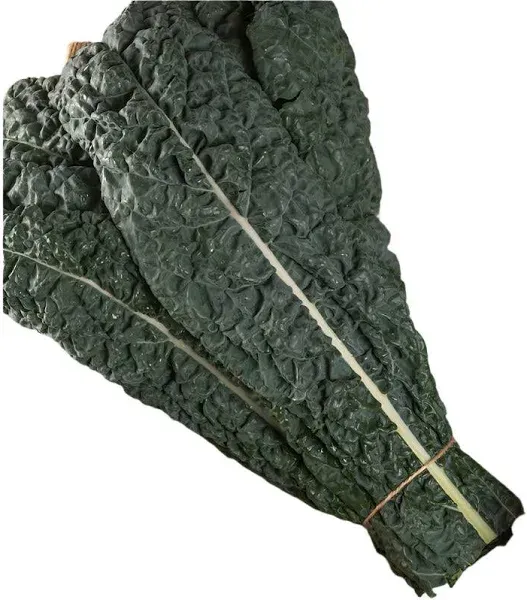 Kale Mamba Hybrid Seeds