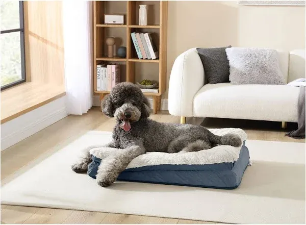 PetSmart Arlee Pet & Home Pillow Top Orthopedic Eco-Friendly Bed