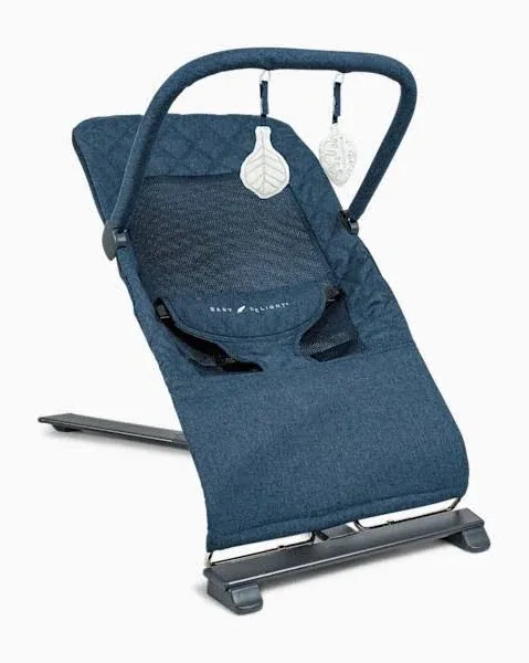 Baby Delight Alpine Deluxe Portable Bouncer