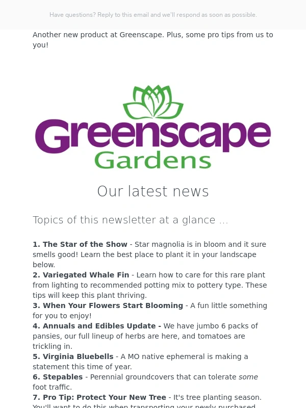 Square - The Star of the Show is This Plant!