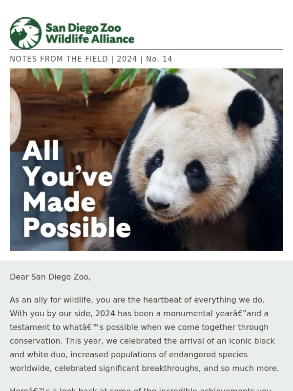 San Diego Zoo - Heartwarming Highlights from 2024
