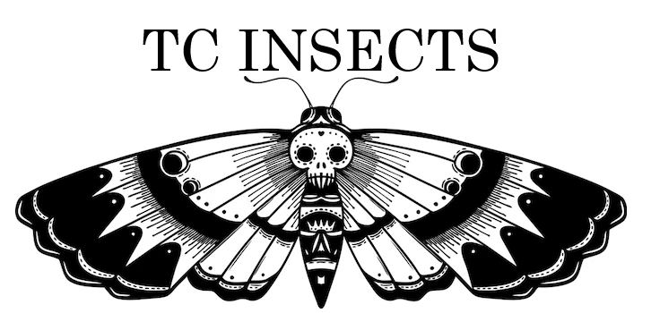 Insects
