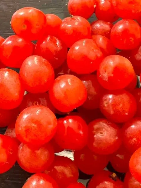 Nanking Cherries Fresh Fruit