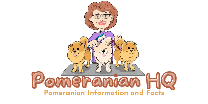 Pomeranian