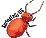 Springtails