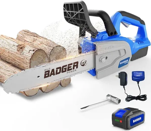 Wild Badger Power Electric Chainsaw WB20VCS2AH