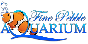 Fine Pebble Aquarium