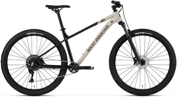 Rocky Mountain Fusion 30