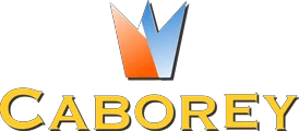 eBay Coupon