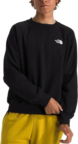The North Face Men's Evolution Crew Sweatshirt