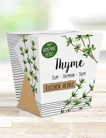 Holland Bulb Farms Homemade Herb Kit Kitchen Thyme