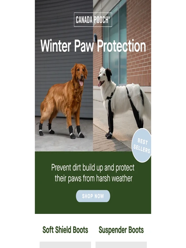 Canada Pooch - Avoid dirty,wet,and cold paws this winter ?