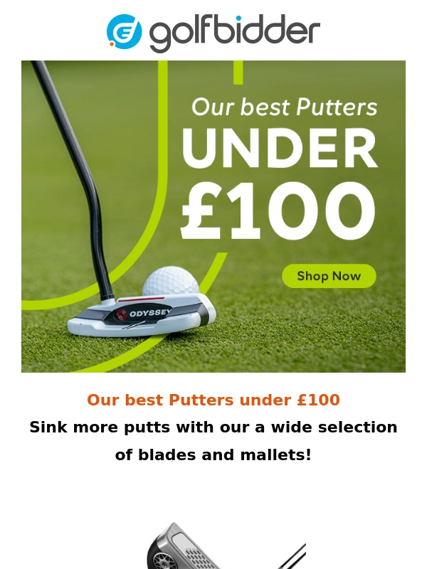 Golfbidder - Over 1200 Putters in stock!
