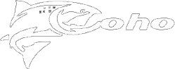 eBay Coupon