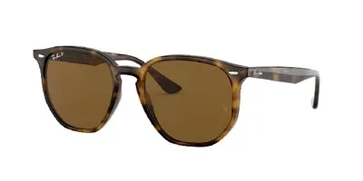 Ray Ban RB4306 Sunglasses